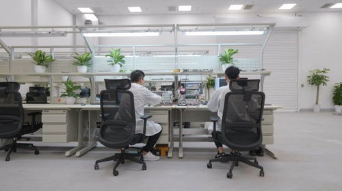 全年近50萬輛 上海超級工廠貢獻(xiàn)特斯拉全球交付量 半壁江山